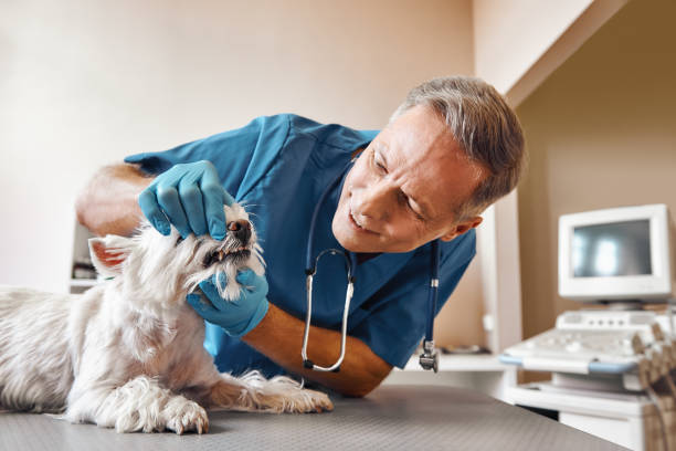 Best Emergency Root Canal Treatment in Quail Ridge, FL